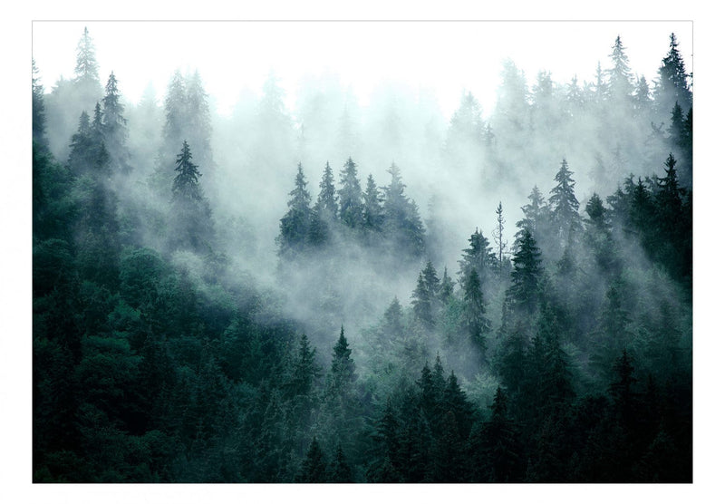 350x256 cm, Fototapetes Kalnu mežs (tumši zaļā krāsā), 126807 G-ART