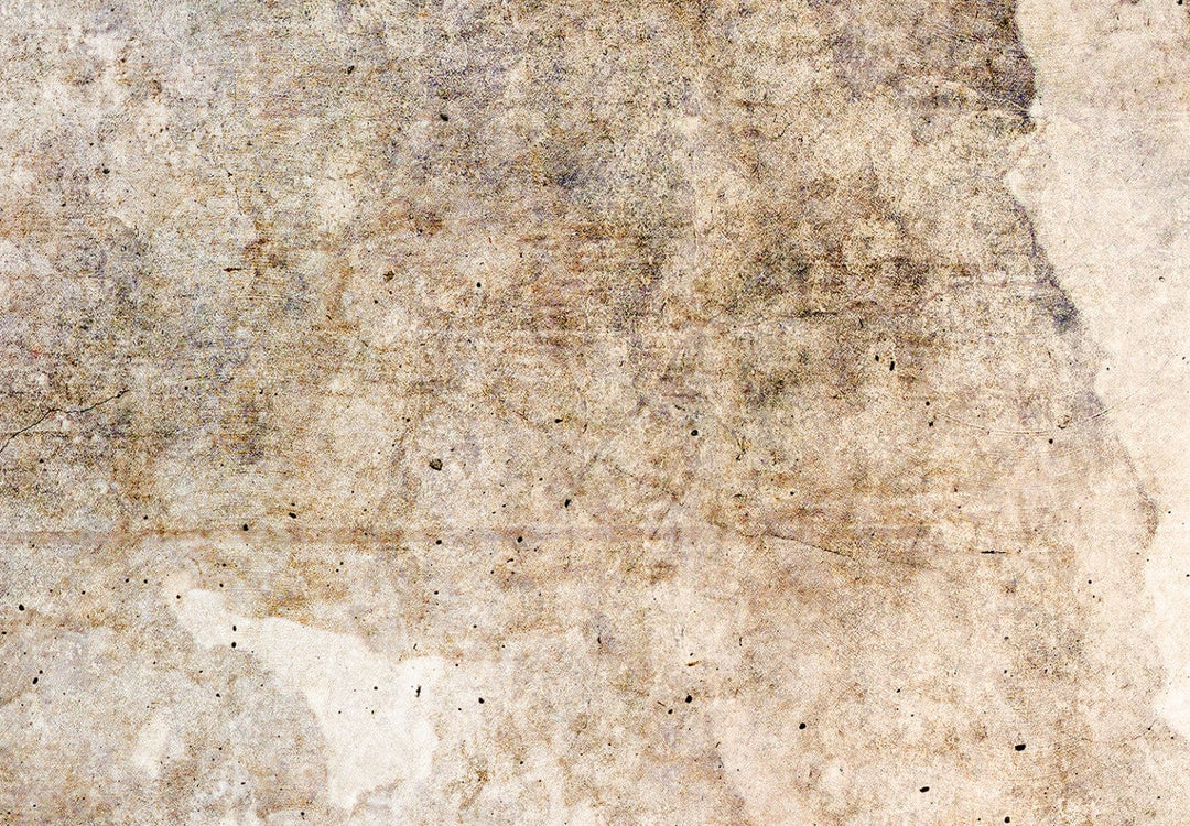 Aizslietnis - Rūsas tekstūra - abstrakcija pasteļbrūnos toņos, 225x172 cm ART