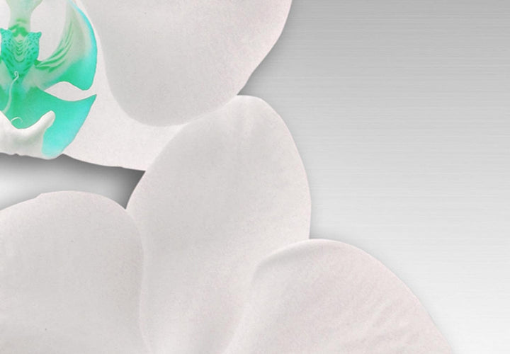 Apaļa glezna - baltas orhidejas ar zaļu un tirkīza akcentu, 148760 G-ART