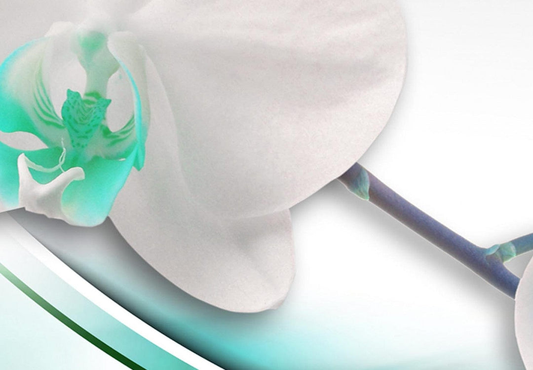 Apaļa glezna - baltas orhidejas ar zaļu un tirkīza akcentu, 148760 G-ART