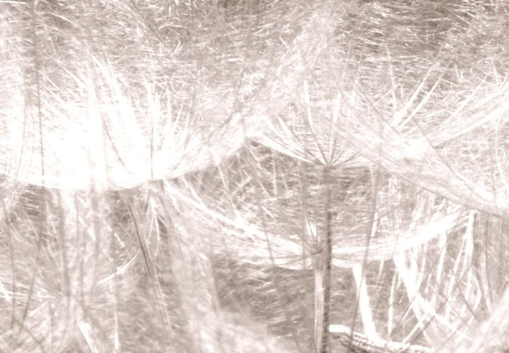 Apaļa glezna (Deluxe) - Pienene sepijas krāsās - 148620 G-ART