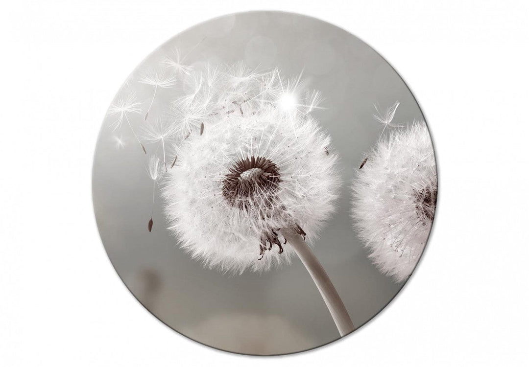 Apaļa glezna (Deluxe) - Pienenes uz silti pelēka fona - 148609 G-ART