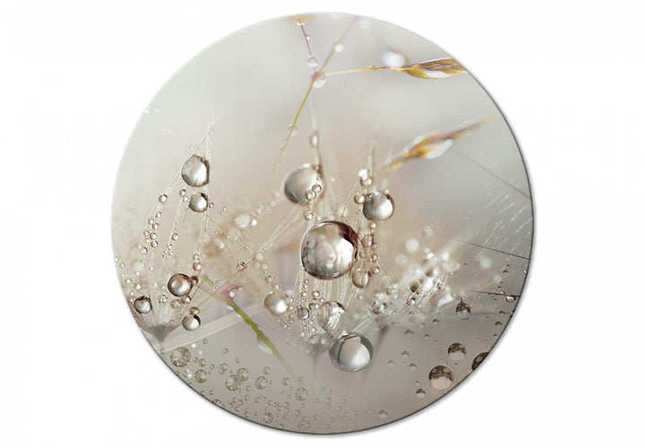 Apaļa glezna - Rasas pilieni - Zāle un pienenes lietū - 148750 G-ART