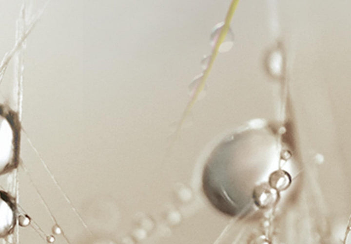 Apaļa glezna - Rasas pilieni - Zāle un pienenes lietū - 148750 G-ART