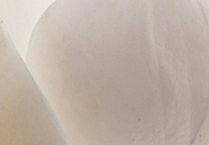 Apaļa glezna (Deluxe) - Ziedi uz ūdens - 148626 G-ART