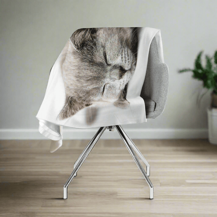 Flīsa pleds ar guļošo kaķi - Saldie sapņi E-interjers.lv