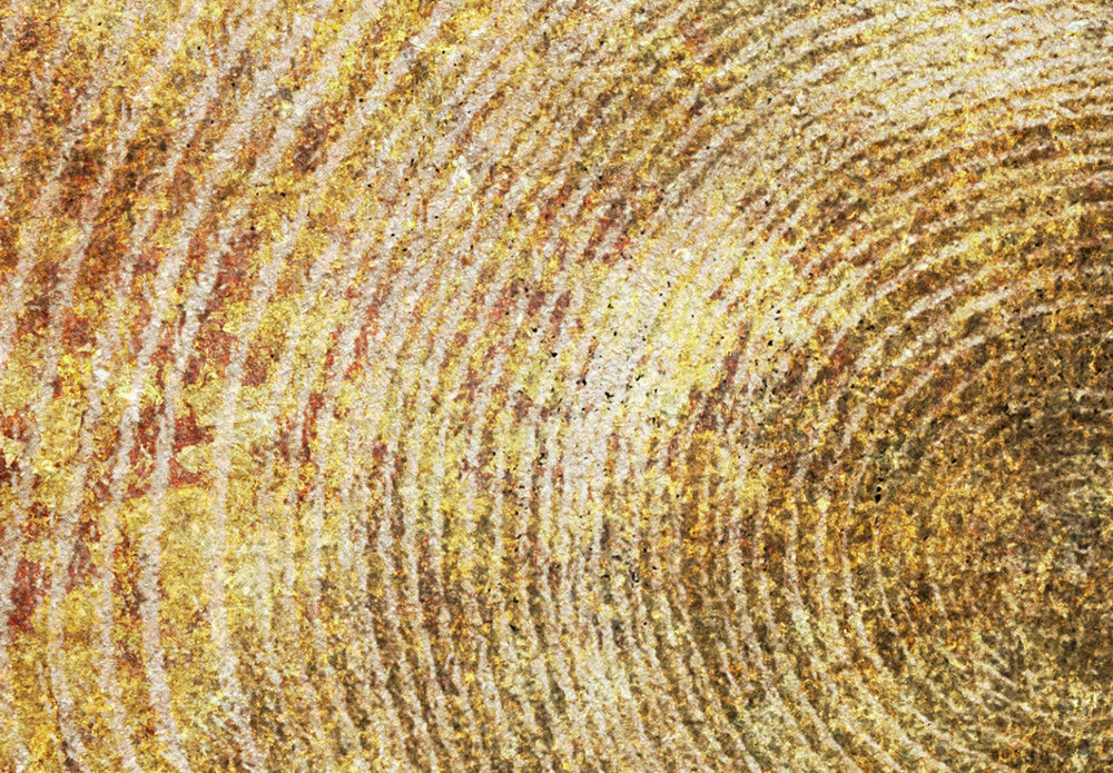 Fototapetes viesistabai - Abstrakcija bronzas nokrāsās, 138473 G-ART