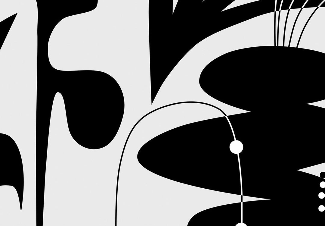 Abstraktas fototapetes, melnas, ģeometriskas un ziedu formas G-ART