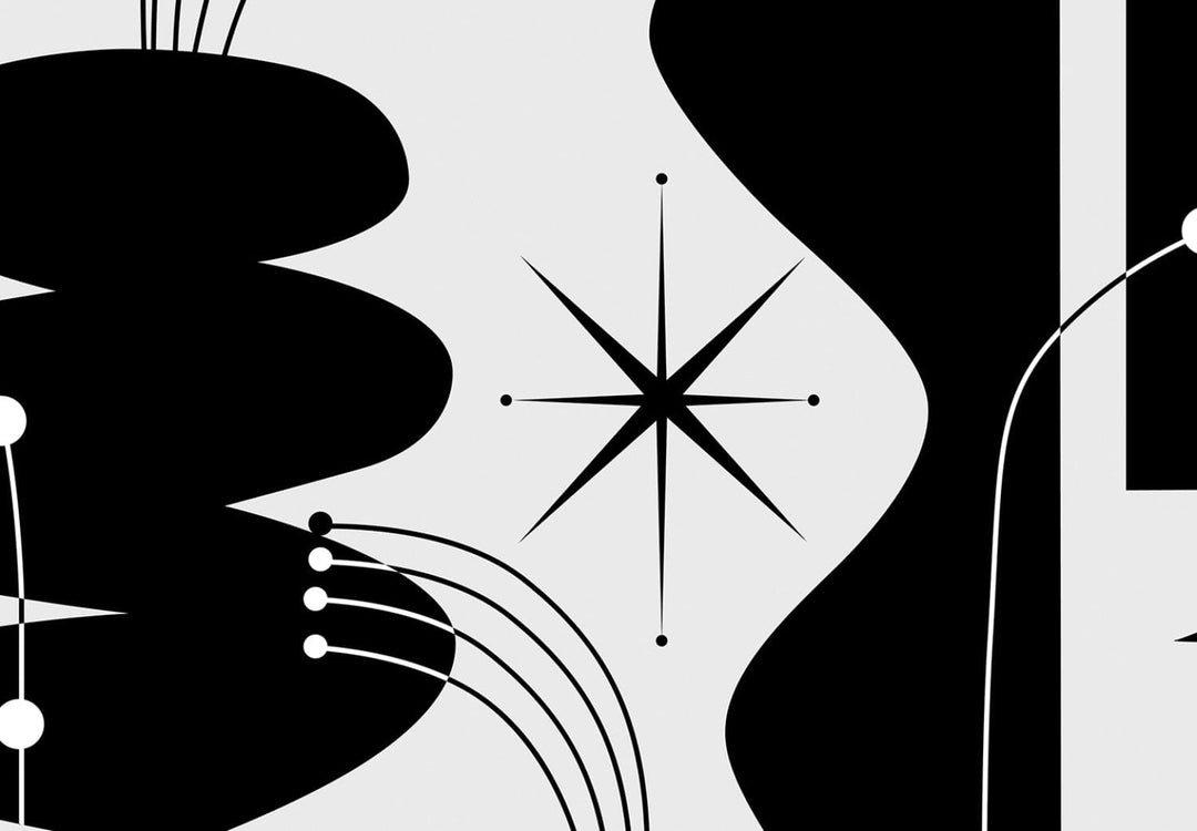 Abstraktas fototapetes, melnas, ģeometriskas un ziedu formas G-ART