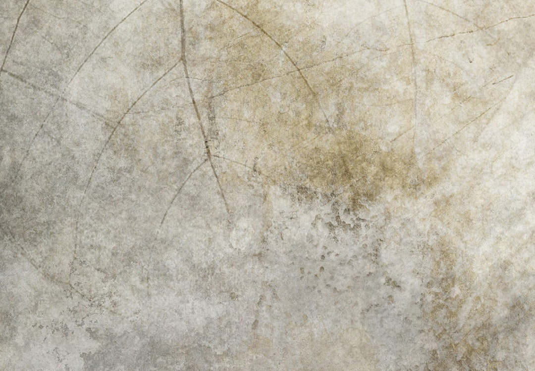 Fototapetes, Abstraktā motīvs, kas ieturēts smilškrāsas toņos, 138459 G-ART