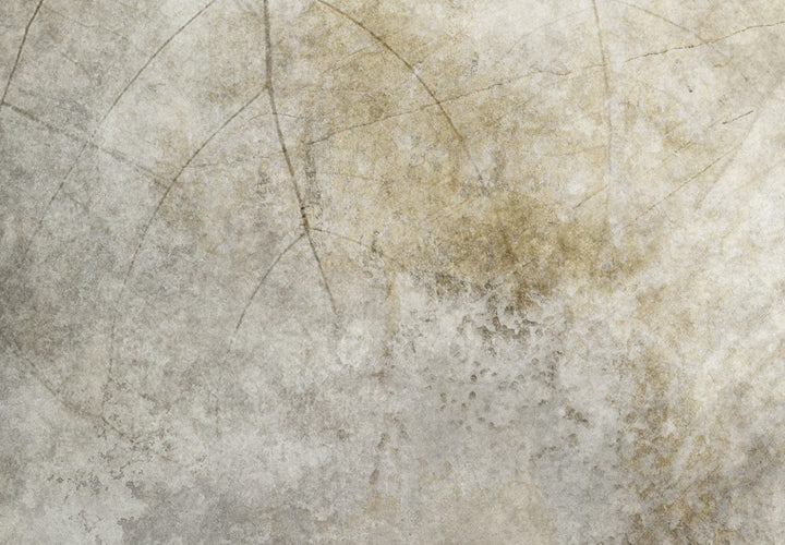 Fototapetes, Abstraktā motīvs, kas ieturēts smilškrāsas toņos, 138459 G-ART