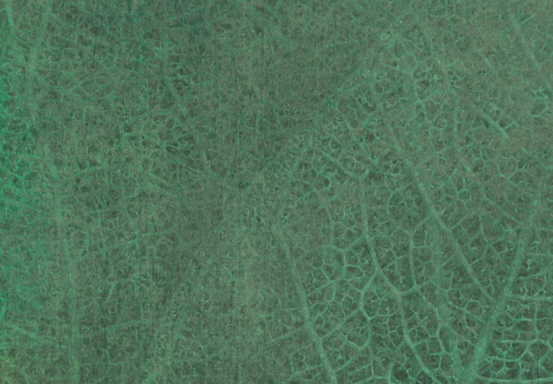 Fototapetes - Abstraktas zaļās lapas - 138474 G-ART