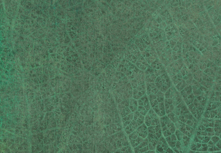 Fototapetes - Abstraktas zaļās lapas - 138474 G-ART