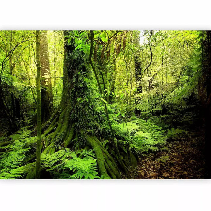 Fototapetes - ainava ar kokiem un tropiskām lapām zaļos toņos G-ART