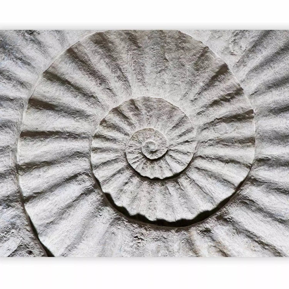Fototapetes, abstrakts dizains pelēcīgi baltā jūras gliemežvāku rakstā G-ART