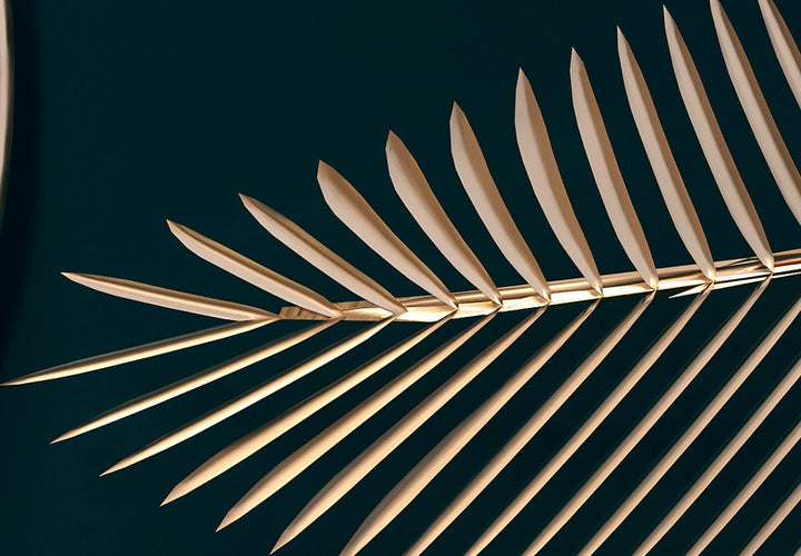 Fototapetes - Apļi un palmu lapas uz tirkīza fona - 150889 G-ART