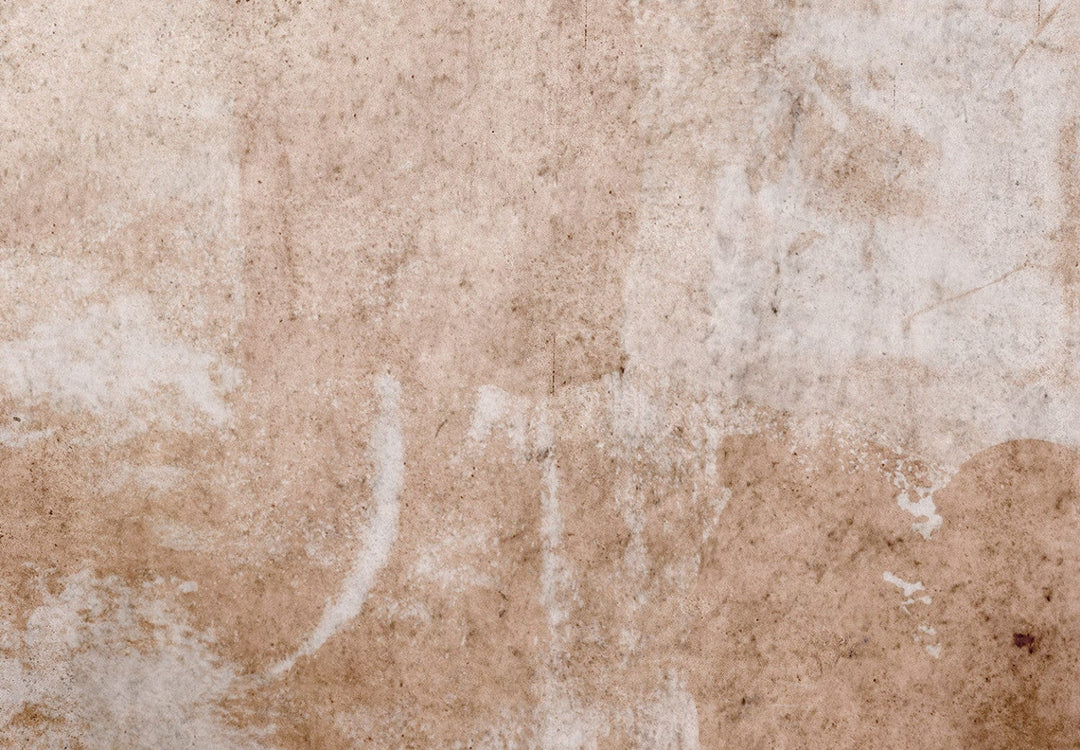 Fototapetes guļamistabai ar abstrakciju tumši bēšos toņos, 142690 G-ART