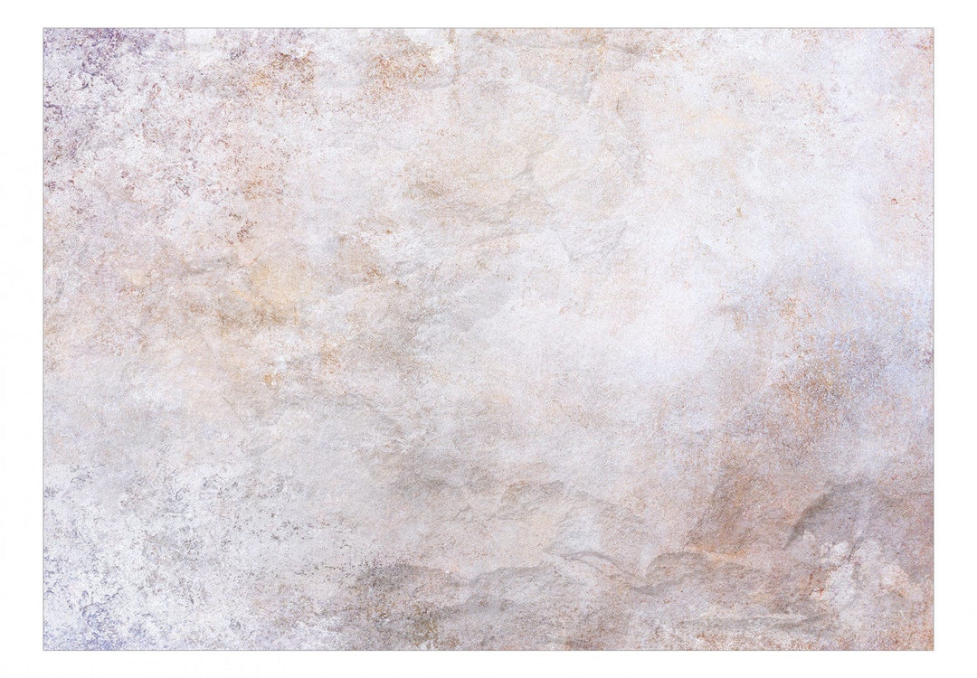 Fototapetes viesistabai ar abstrakta tekstūru maigos toņos, 138571 G-ART