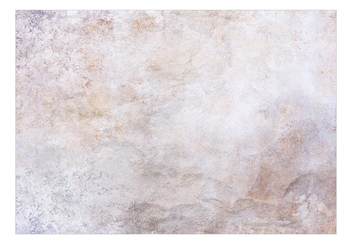 Fototapetes viesistabai ar abstrakta tekstūru maigos toņos, 138571 G-ART