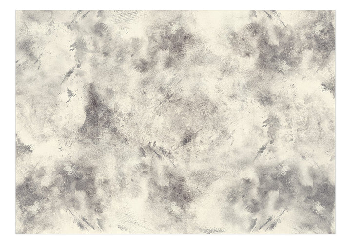 Fototapetes ar abstrakta zīmējumu - Laika ekspresija pelēkā - 142698 G-ART