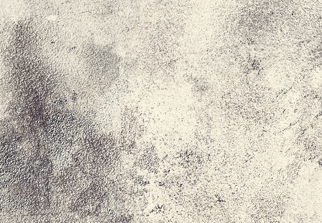 Fototapetes ar abstrakta zīmējumu - Laika ekspresija pelēkā - 142698 G-ART