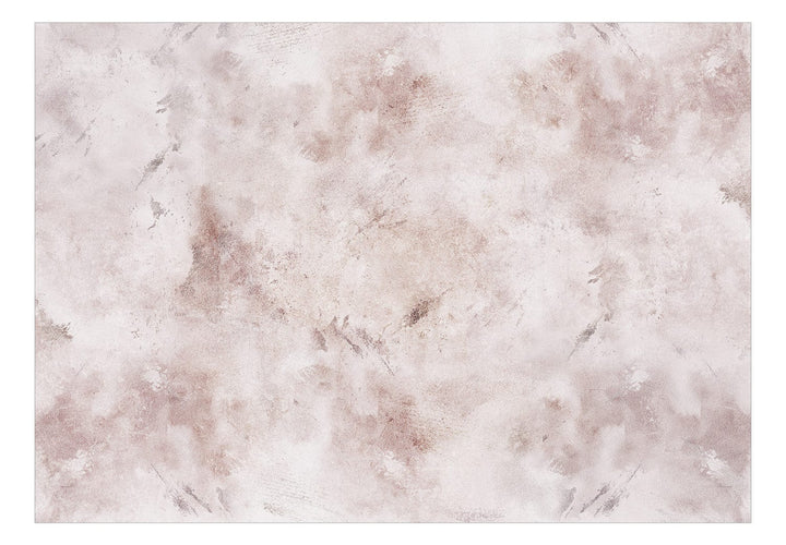 Fototapetes ar abstrakta zīmējumu - Laika ekspresija rozā - 142697 G-ART