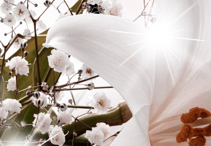 Fototapetes ar baltām lilijām - Ziedu brīze - 135800 G-ART