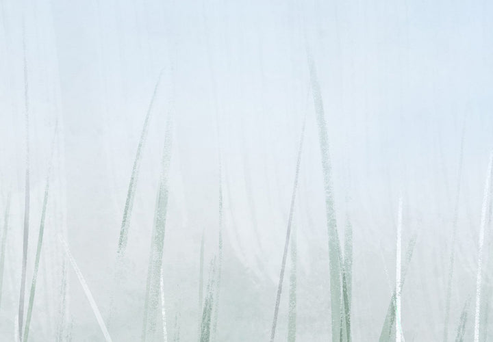 Fototapetes ar dabas motīvu - Augsta zāle 3. versija - 143764 G-ART