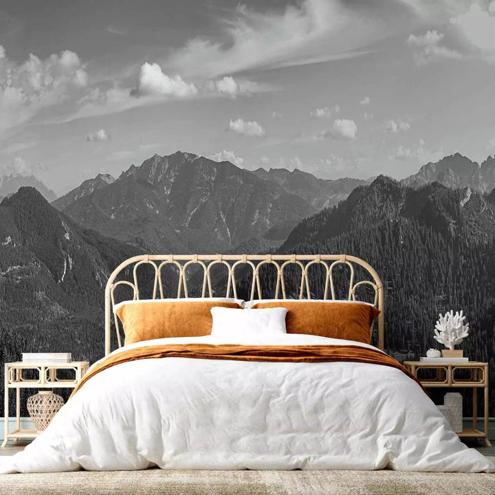 Fototapetes ar kalniem pelēkos toņos - viesistabai G-ART