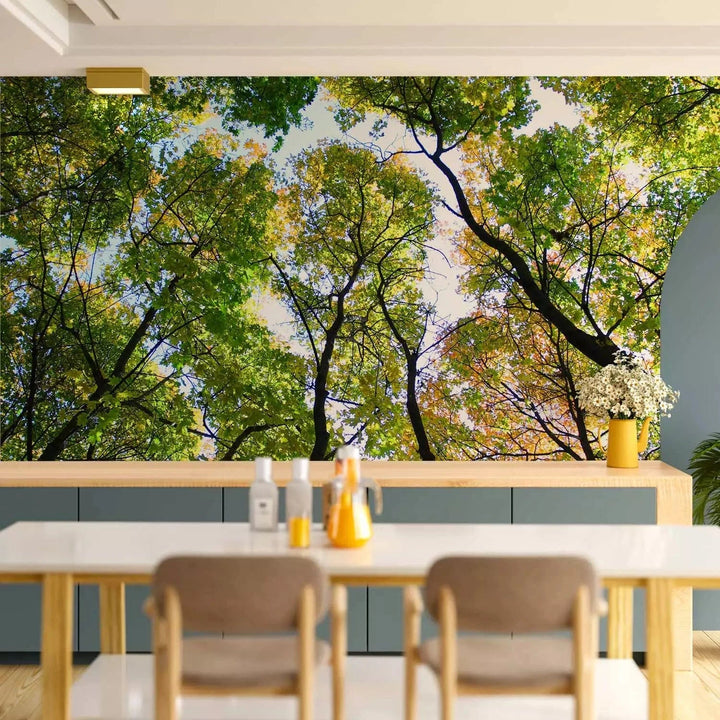 Fototapetes ar kokiem - Fantastiskas koku galotnēs, zaļā krāsā G-ART
