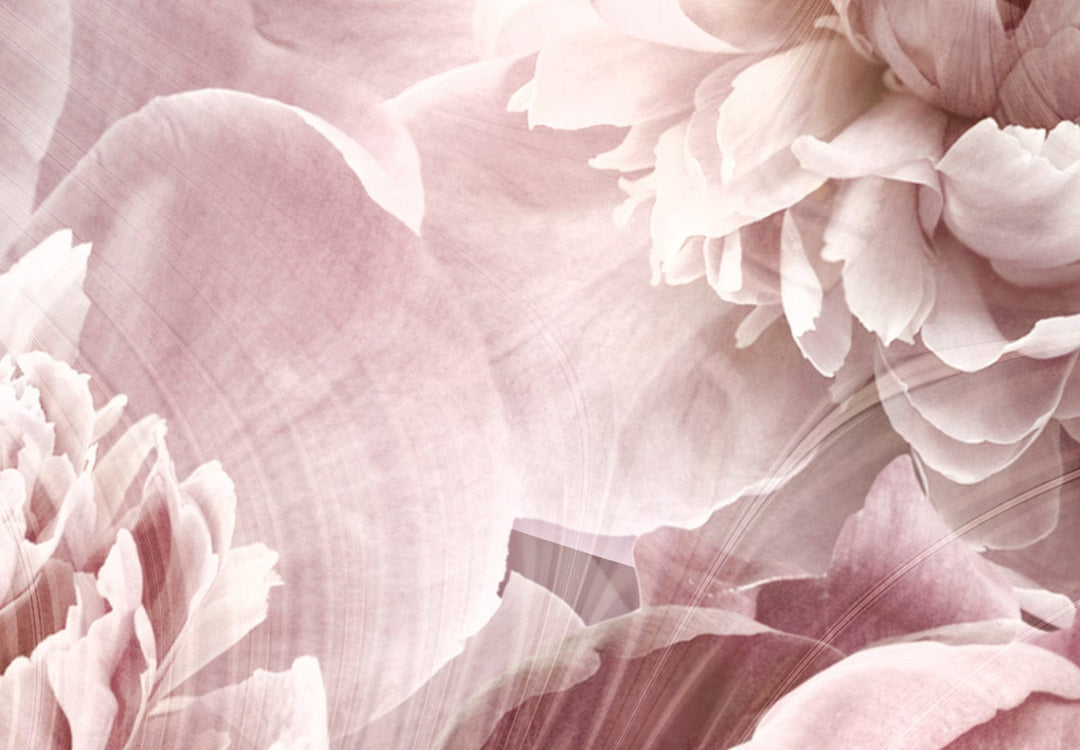 Fototapetes ar lilijām - Kompozīcija ar peonijām - 134549 G-ART