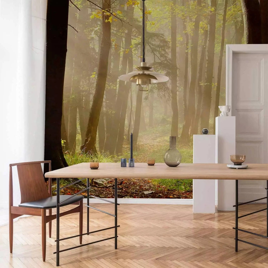 Fototapetes ar meža taku gaišos toņos G-ART