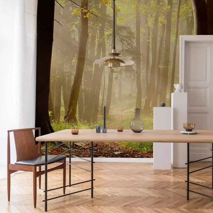 Fototapetes ar meža taku gaišos toņos G-ART