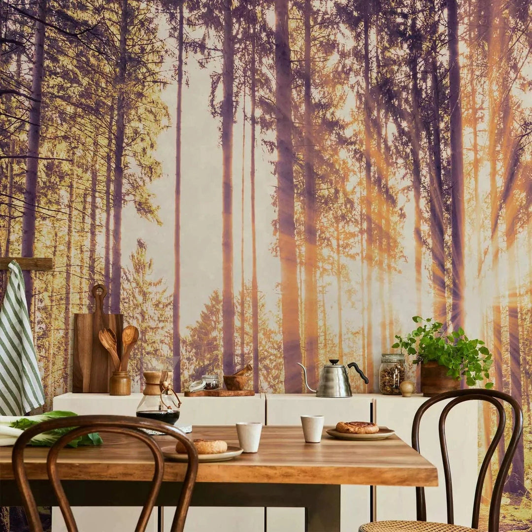 Fototapetes ar saulainu mežu - Pēcpusdiena mežā - cena G-ART