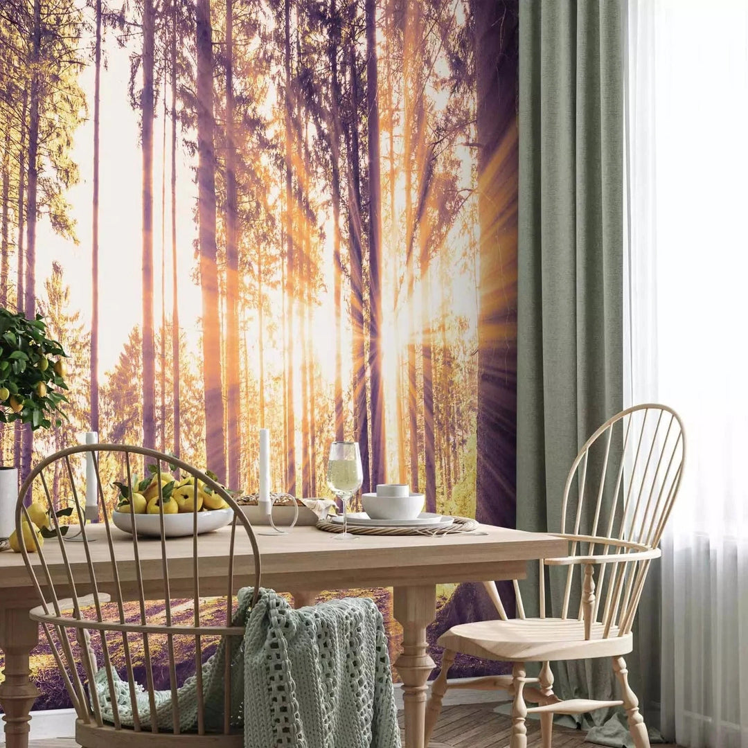 Fototapetes ar saulainu mežu - Pēcpusdiena mežā - cena G-ART