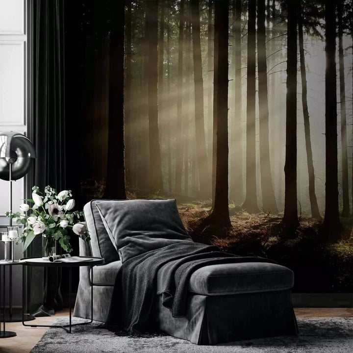 Fototapetes ar mežu - Skuju mežs ar saules stariem G-ART