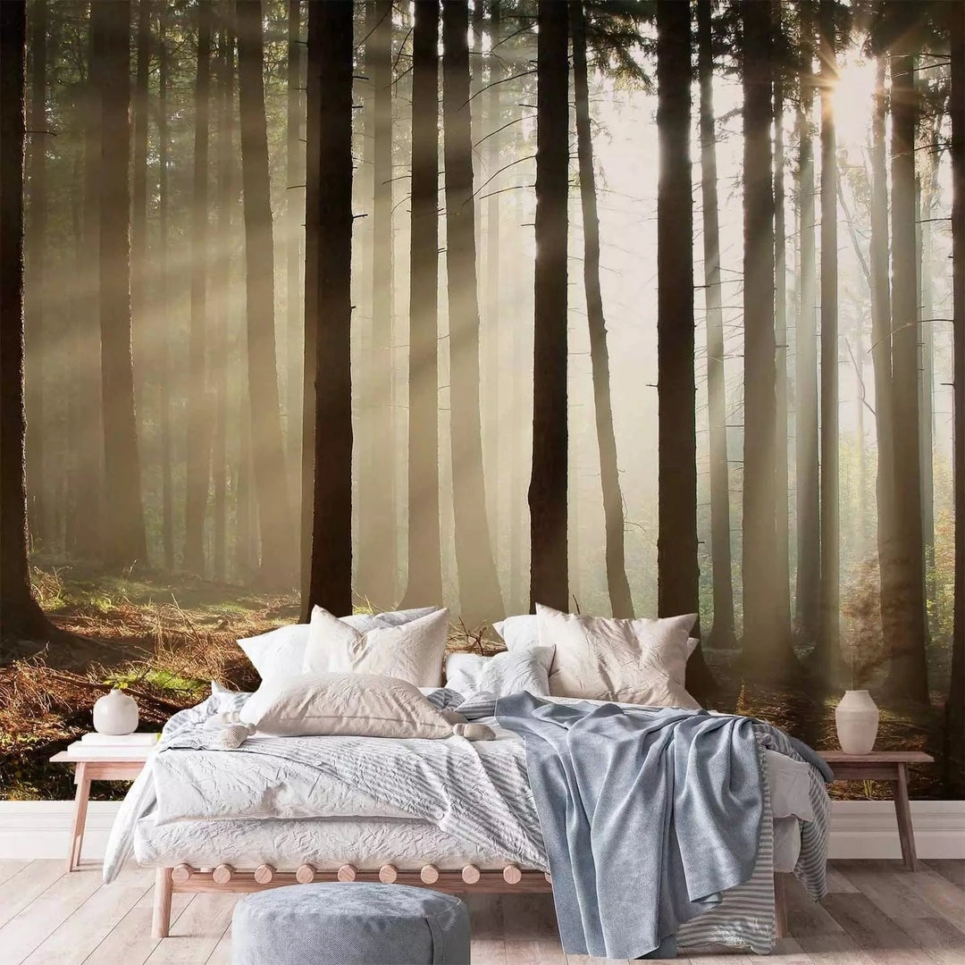 Fototapetes ar mežu - Skuju mežs ar saules stariem G-ART