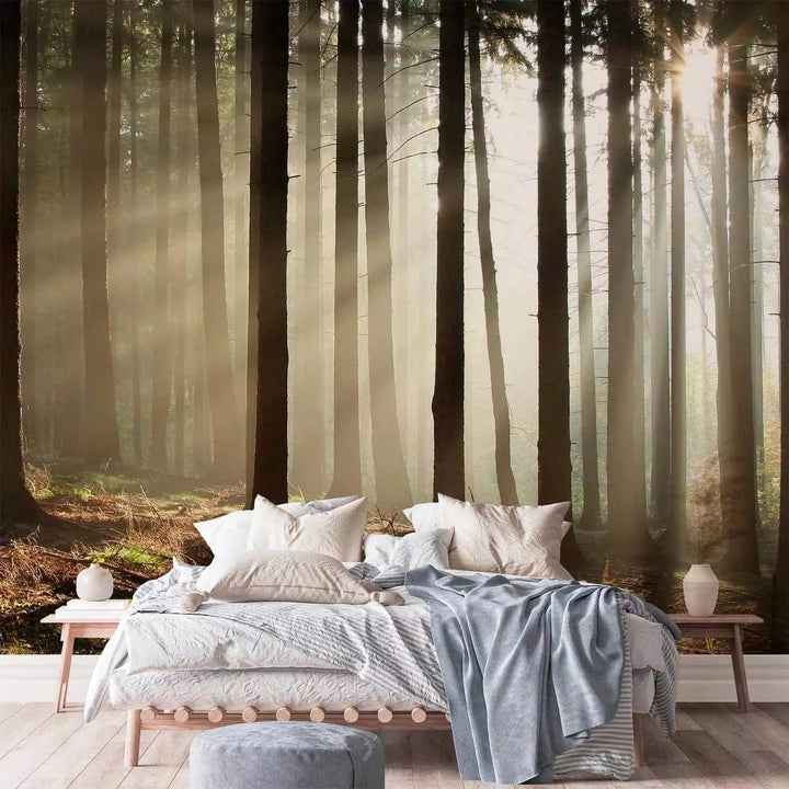 Fototapetes ar mežu - Skuju mežs ar saules stariem G-ART