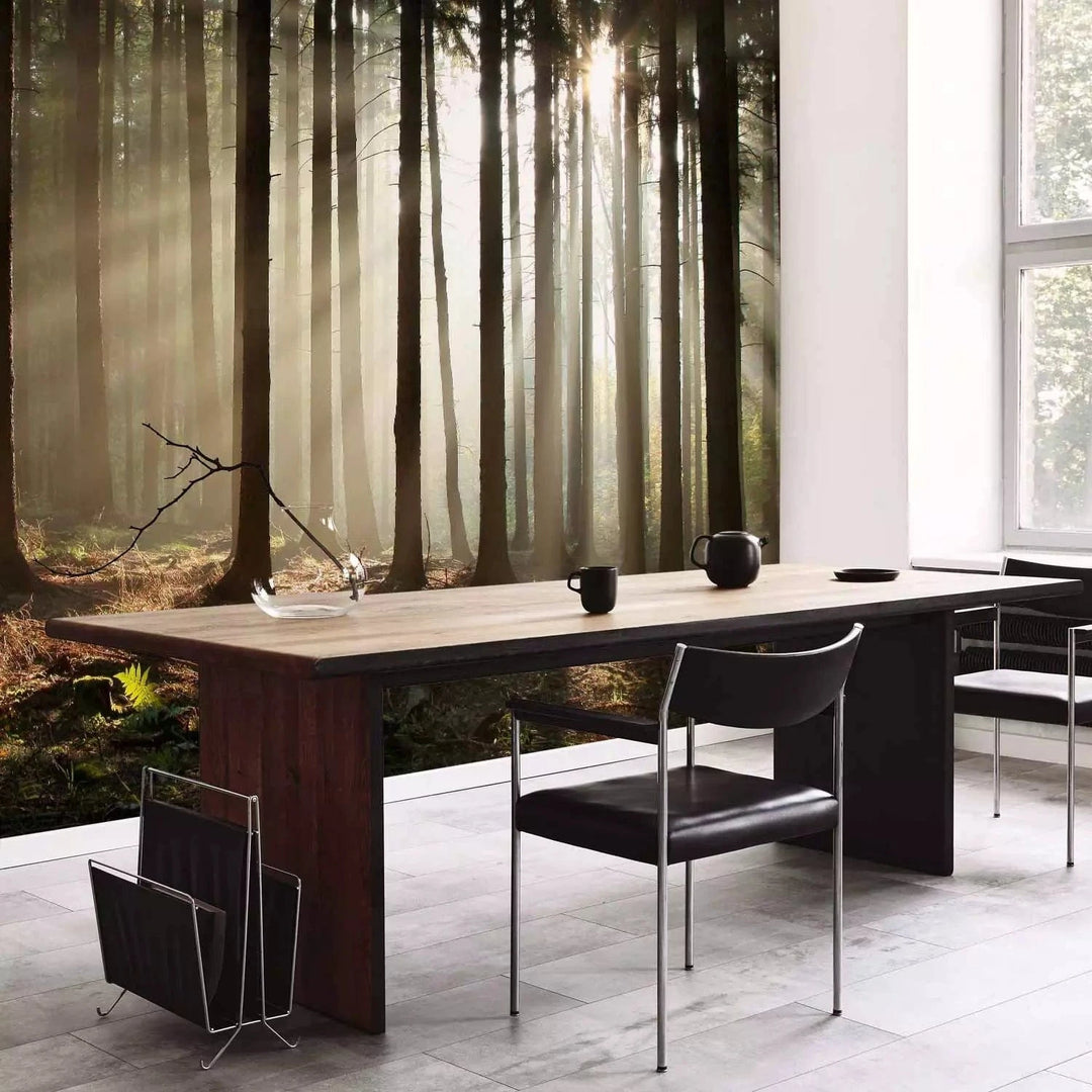 Fototapetes ar mežu - Skuju mežs ar saules stariem G-ART