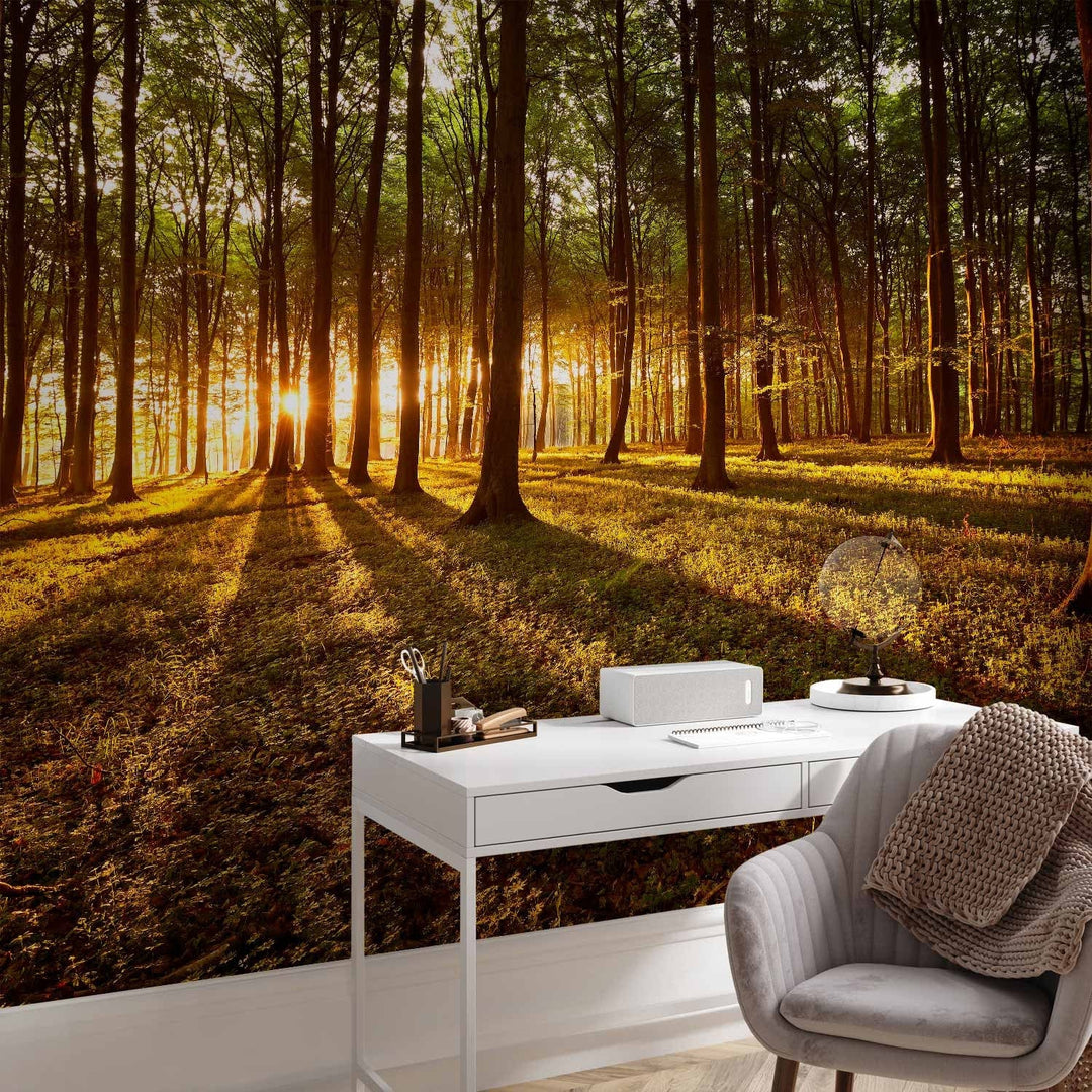 Fototapetes ar mežu - Vasara: rīts mežā - 60495 - nopirkt istabai G-ART