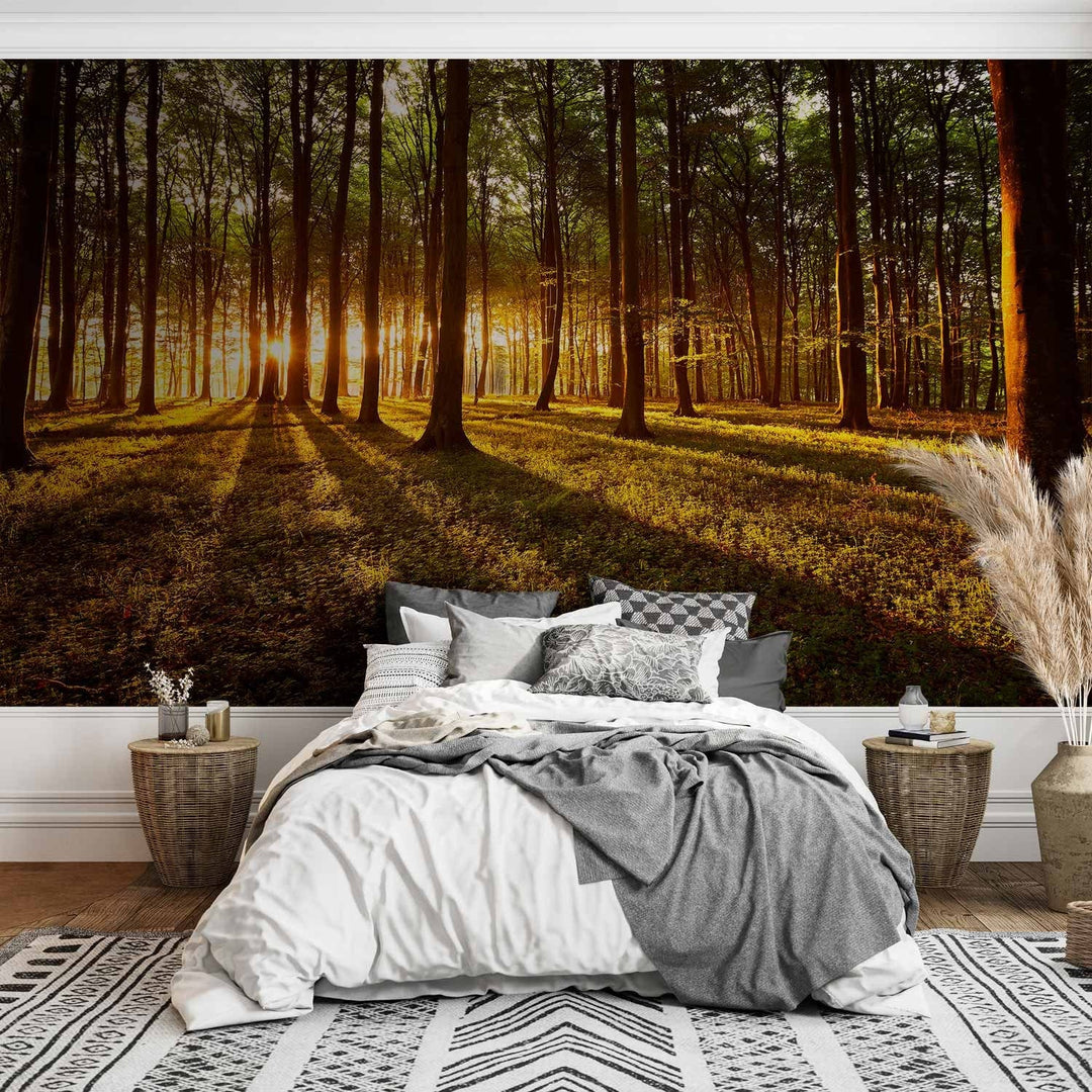 Fototapetes ar mežu - Vasara: rīts mežā - 60495 - nopirkt istabai G-ART