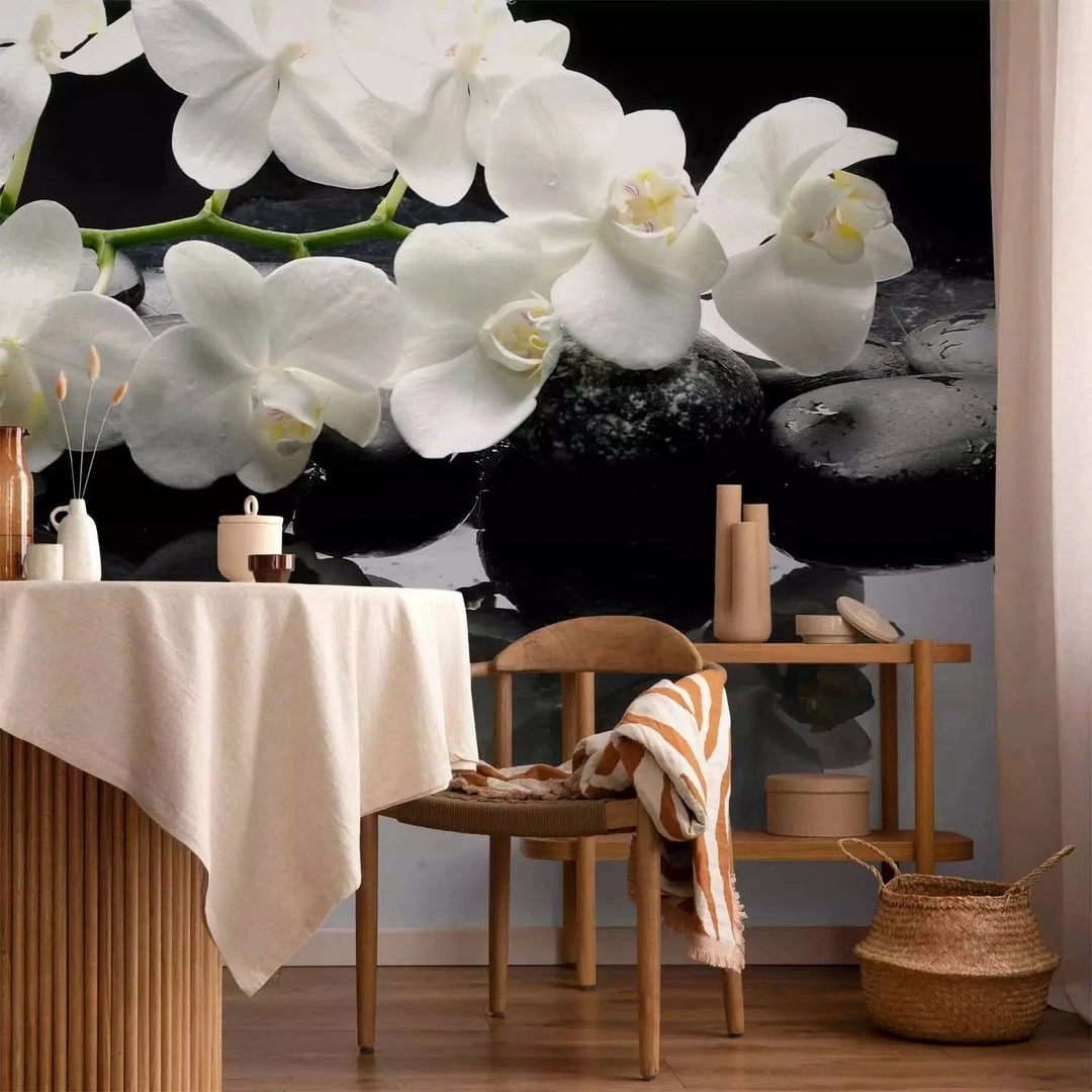 Fototapetes ar orhidejām - SPA, akmeņi un orhideja uz melna fona G-ART
