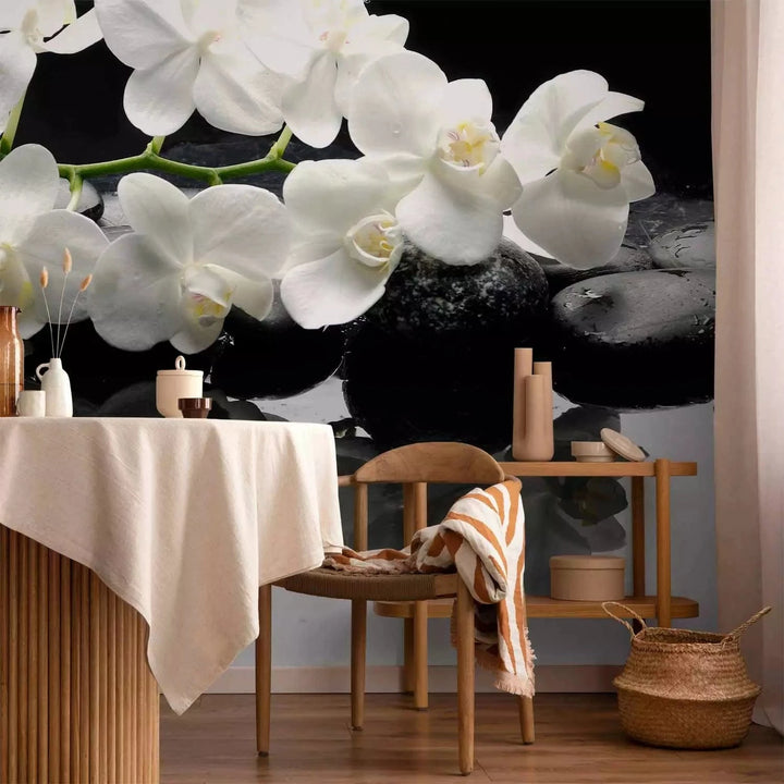 Fototapetes ar orhidejām - SPA, akmeņi un orhideja uz melna fona G-ART
