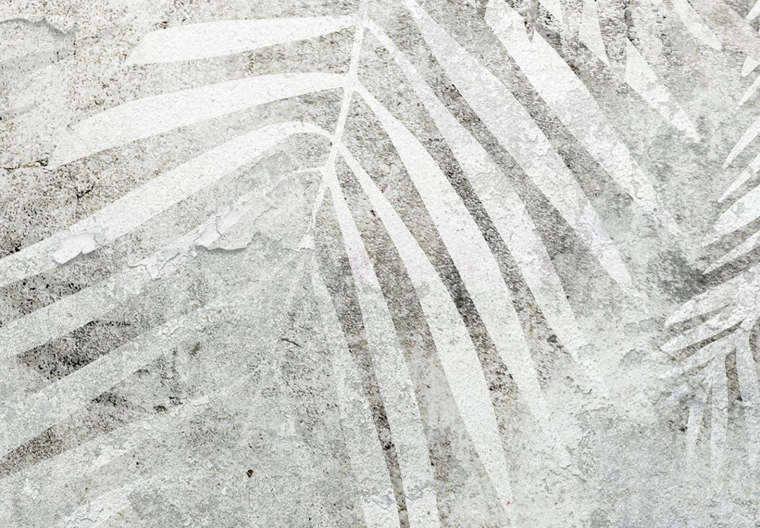 Fototapetes ar papardes lapām pelēkā krāsā - Gaisma un ēna - 142880 G-ART