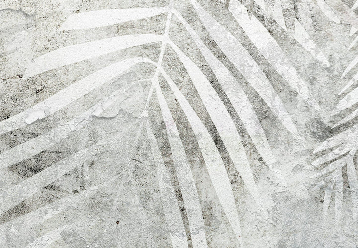 Fototapetes ar papardes lapām pelēkā krāsā - Gaisma un ēna - 142880 G-ART