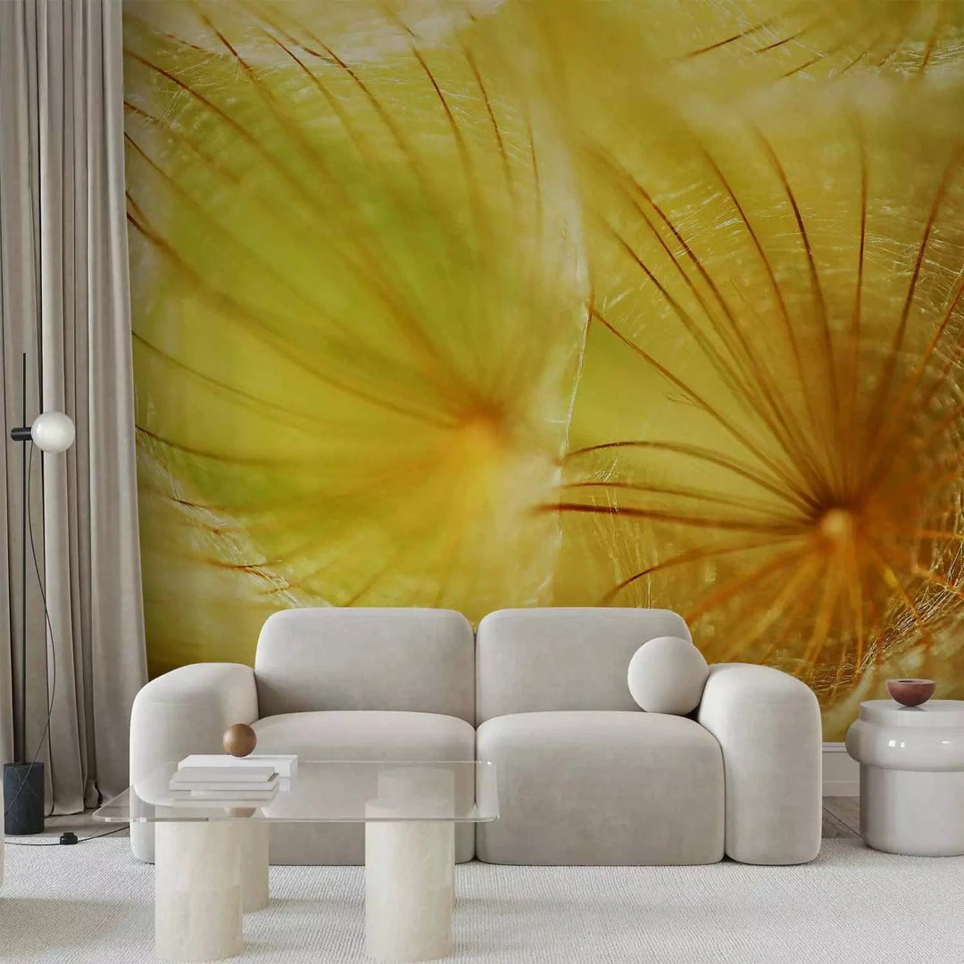 Fototapetes ar pienenēm - Maigas pienenes, dzeltenā krāsā G-ART