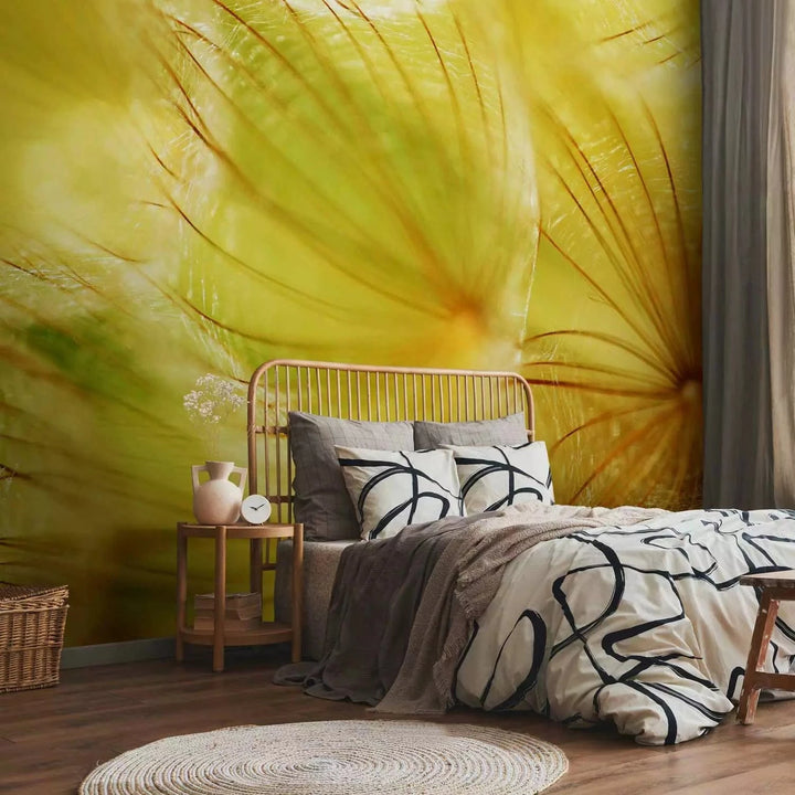 Fototapetes ar pienenēm - Maigas pienenes, dzeltenā krāsā G-ART