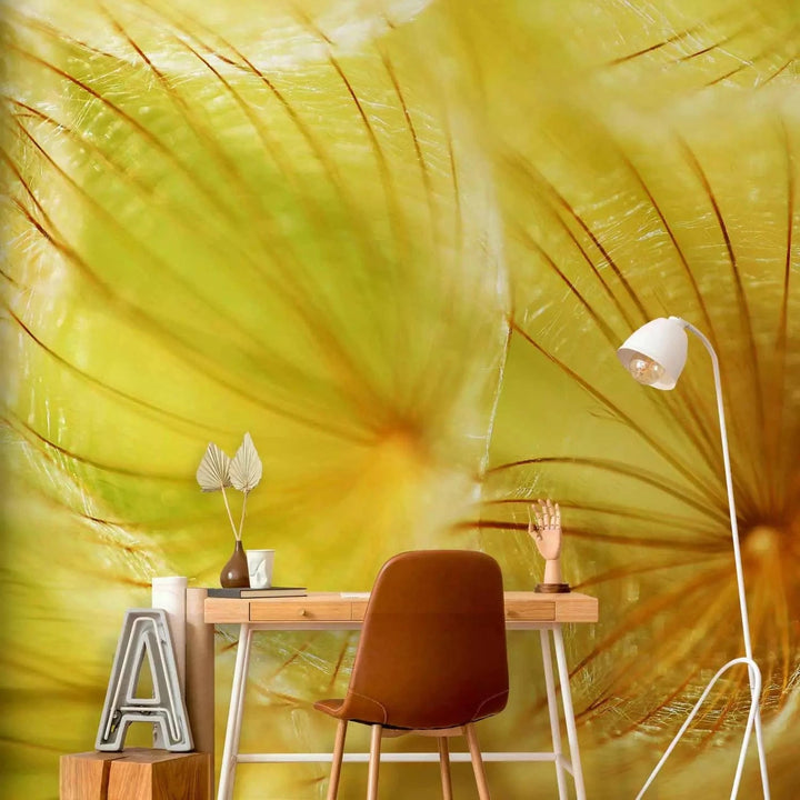 Fototapetes ar pienenēm - Maigas pienenes, dzeltenā krāsā G-ART