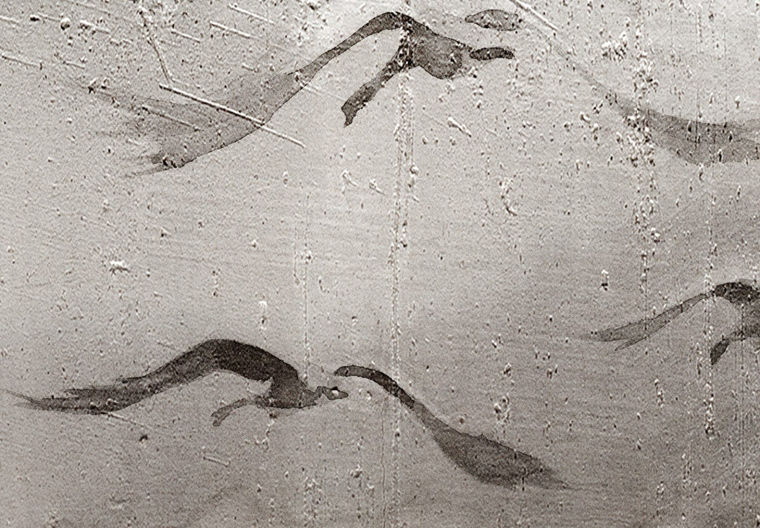Fototapetes ar putniem - Gulbis lidojumā, pelēkā krāsā, 142882 G-ART