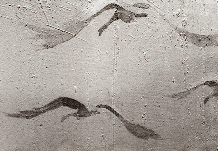 Fototapetes ar putniem - Gulbis lidojumā, pelēkā krāsā, 142882 G-ART